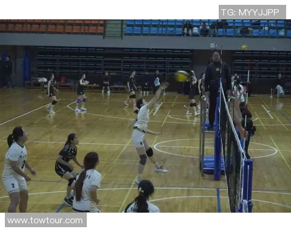 重庆排球队的默契配合与战术探讨聚焦排球的团队精神与协作能力 重庆排球队的默契配合与战术探讨聚焦排球的团队精神与协作能力