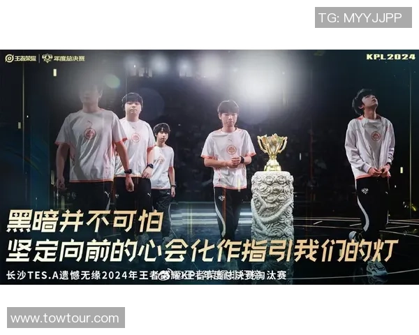 王者荣耀纪实：记录TES的奋斗经历