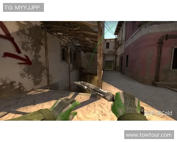 专业解读：FPX的防守打法