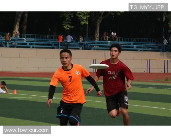 热议飞盘：武汉飞盘队的速度变革