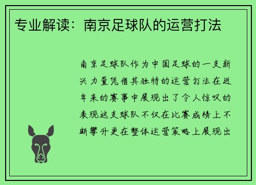 专业解读：南京足球队的运营打法