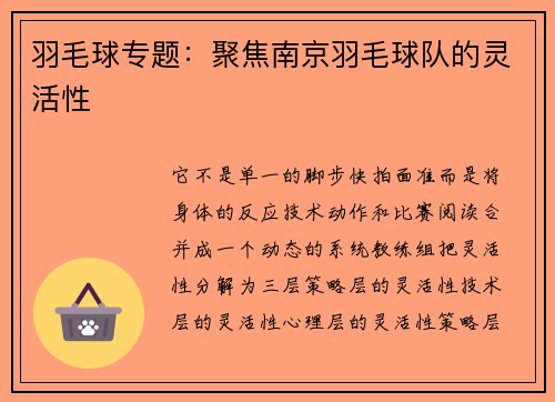 羽毛球专题：聚焦南京羽毛球队的灵活性